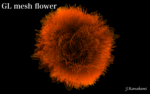 20161017_flower.png