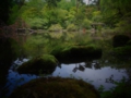 R0003356.JPG